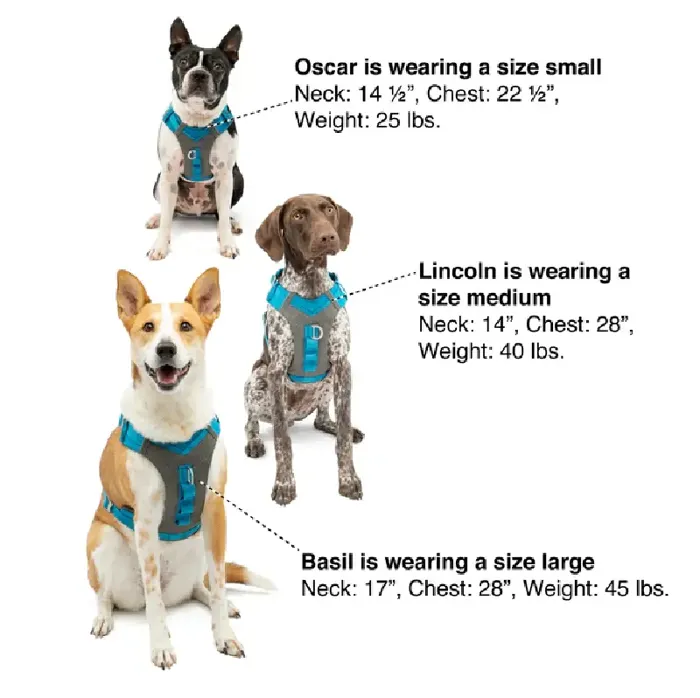Journey Air Harness Coral Lg