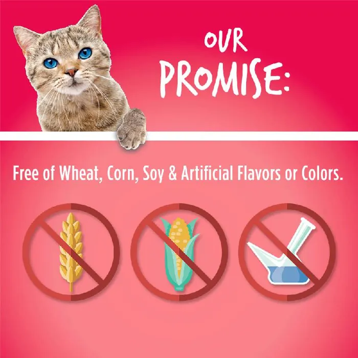 Fruitables Cat Treats Salmon/cranberry 2.5-oz