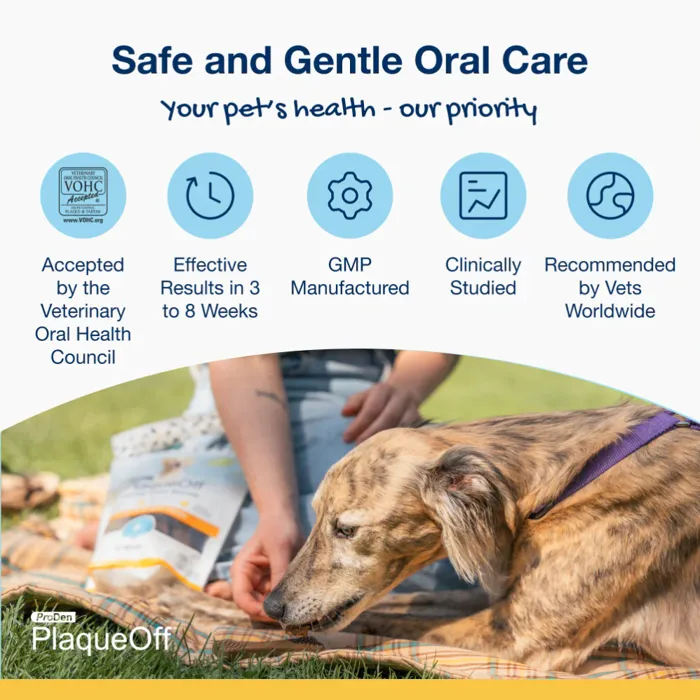 ProDen PlaqueOff Chicken Pumpkin dental bones lifestyle package