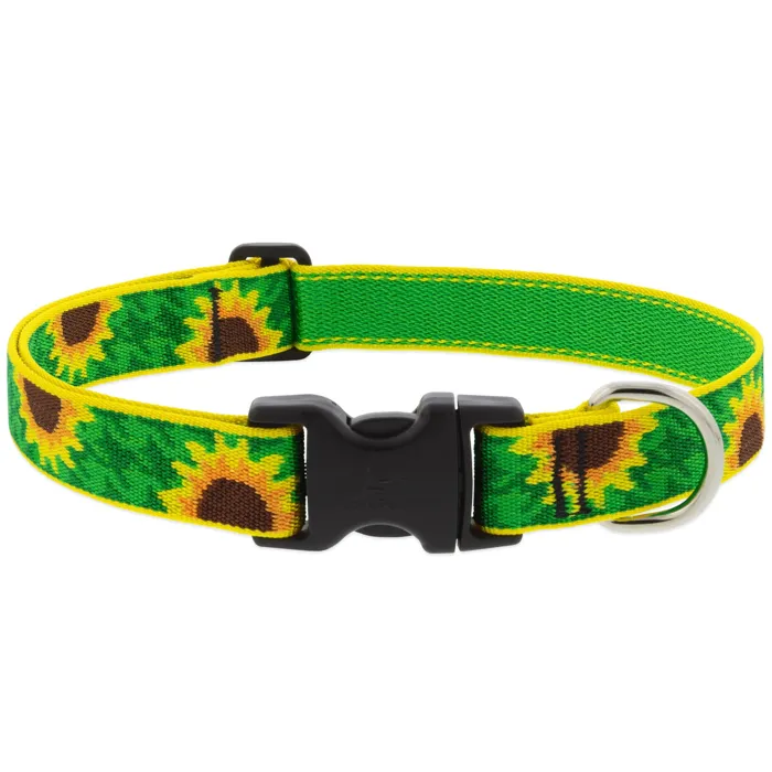 Lupine Sunflowers 1-inch dog collar, 16-28-inch front view