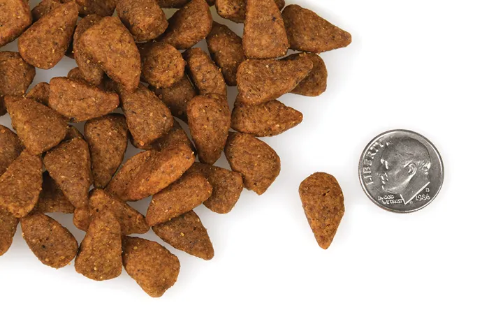 Fromm Chicken au Frommage dog food kibble with dime