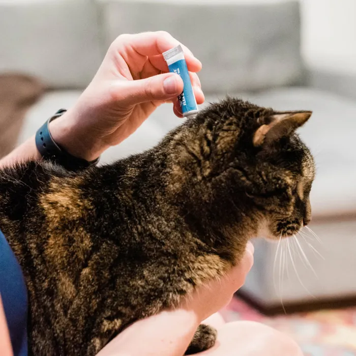 Wondercide Flea Tick Spot On For Cats Peppermint