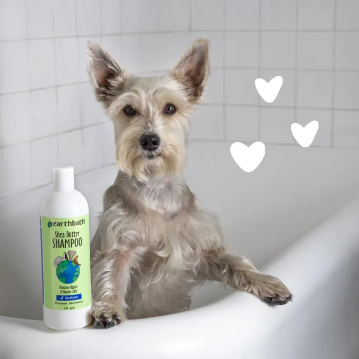Earthbath Shea Butter Shampoo 16 fl oz dog lifestyle