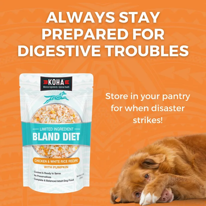 Koha Bland Diet Chicken & White Rice 12.5-oz