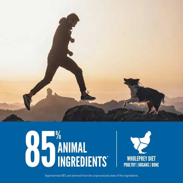 ORIJEN Original 85% animal ingredients lifestyle graphic