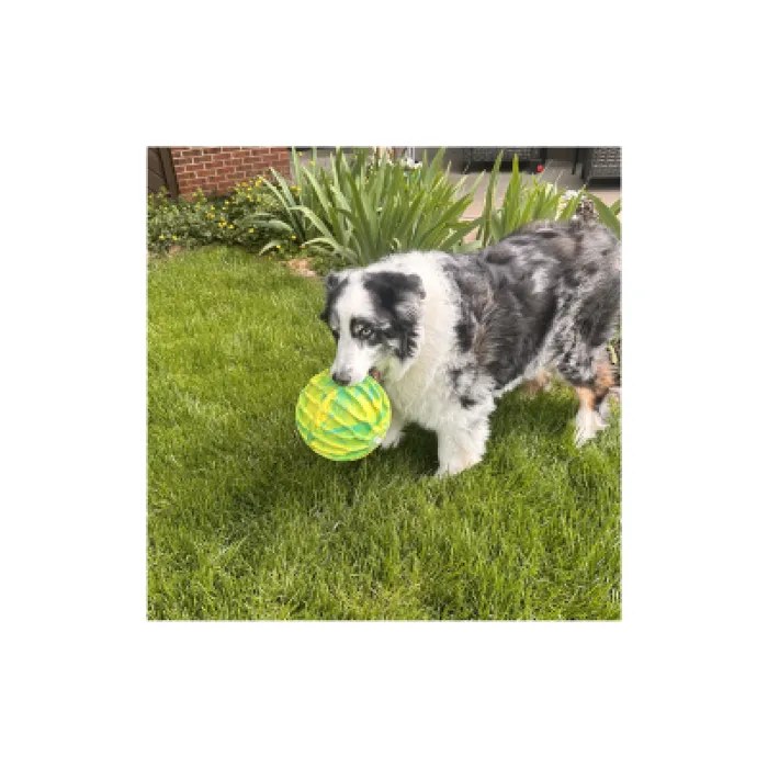 Kong Flexball Sport Ball Xlarge
