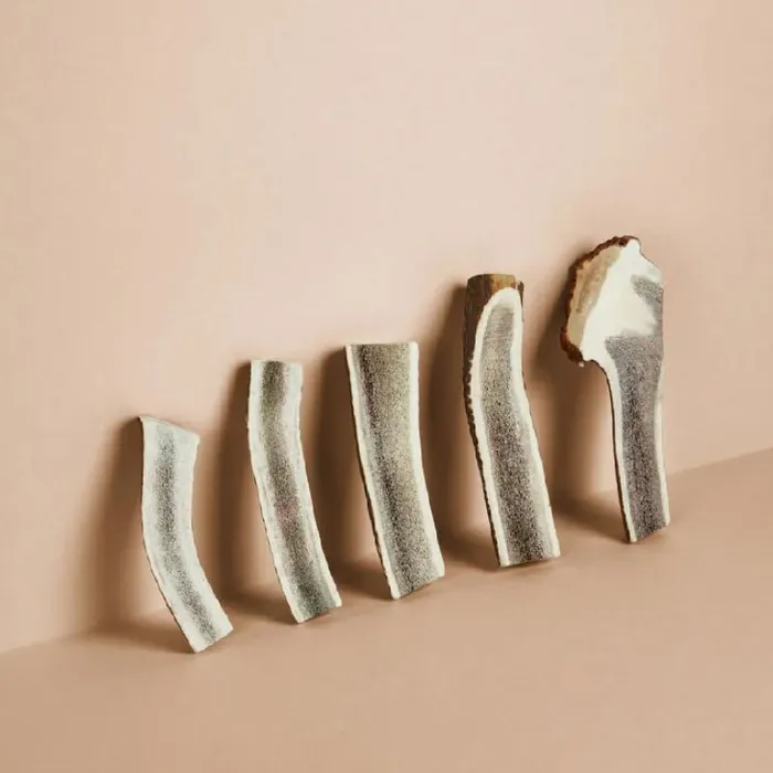 Canophera Red Deer Antler Split Large