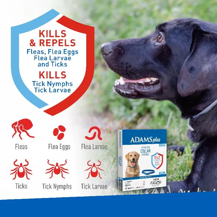 Adams+ F&t Collar Dog 26