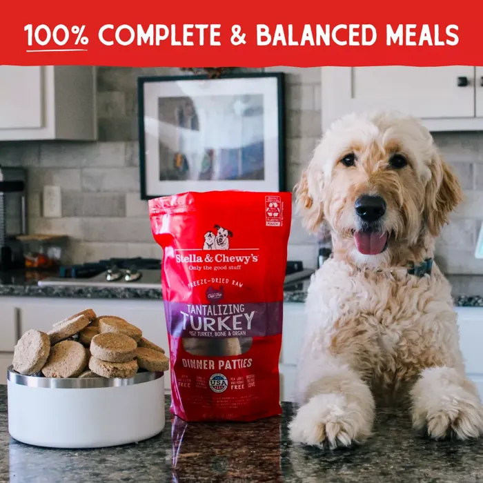 Stella & Chewy's Tantalizing Turkey 14 oz bag lifestyle
