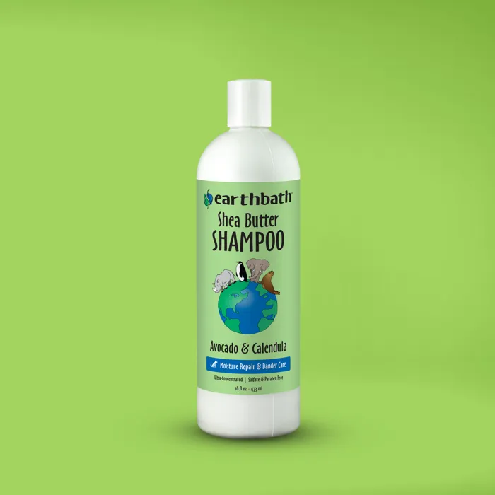 Earthbath Shea Butter Shampoo 16 fl oz green-background bottle