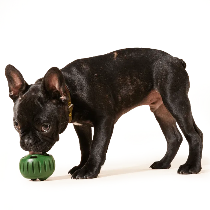 Woof Pops Small Treat Chicken Peanut Butter 6.5-oz