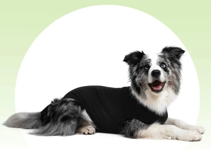 Suitical Recovery Suit Dog Small Black