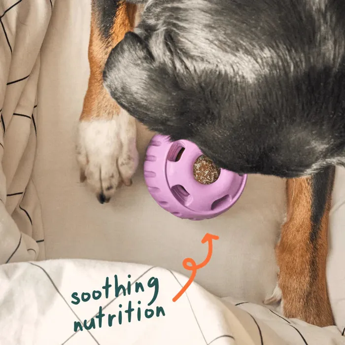 Woof Calming Pupsicle Refill Pops XL dog using toy