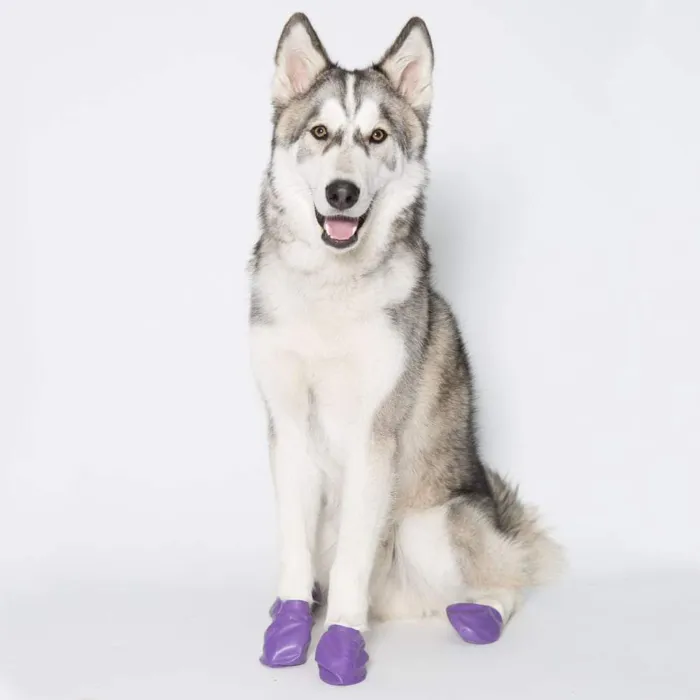 Waterproof Dog Boots, Purple, 12 Count Large