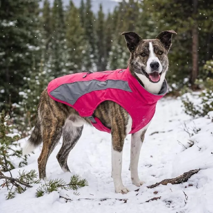 Baydog Saginaw Fleece Dog Coat, Amethyst, Small
