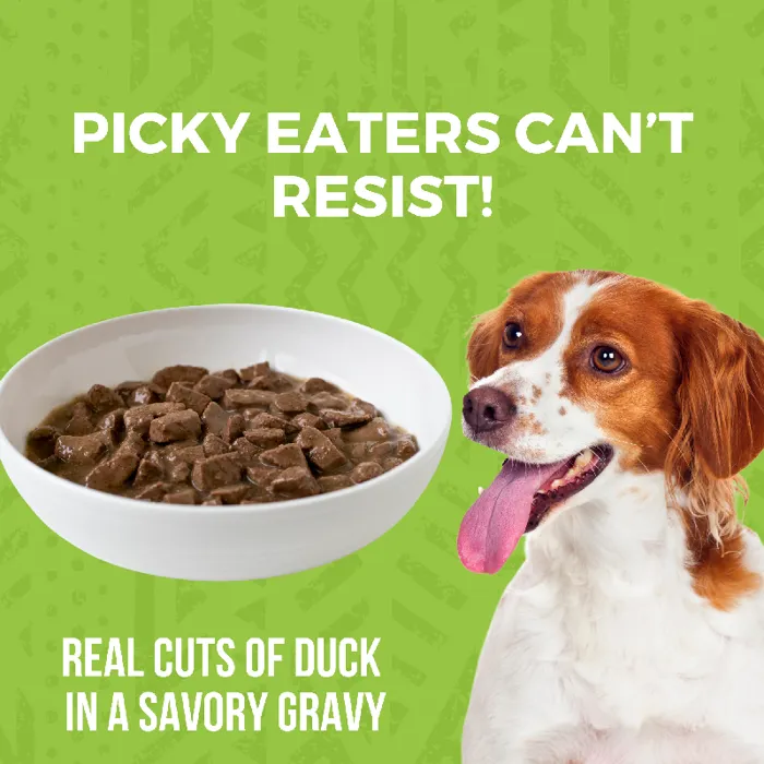 Koha Dog Duck Stew 12.7-oz