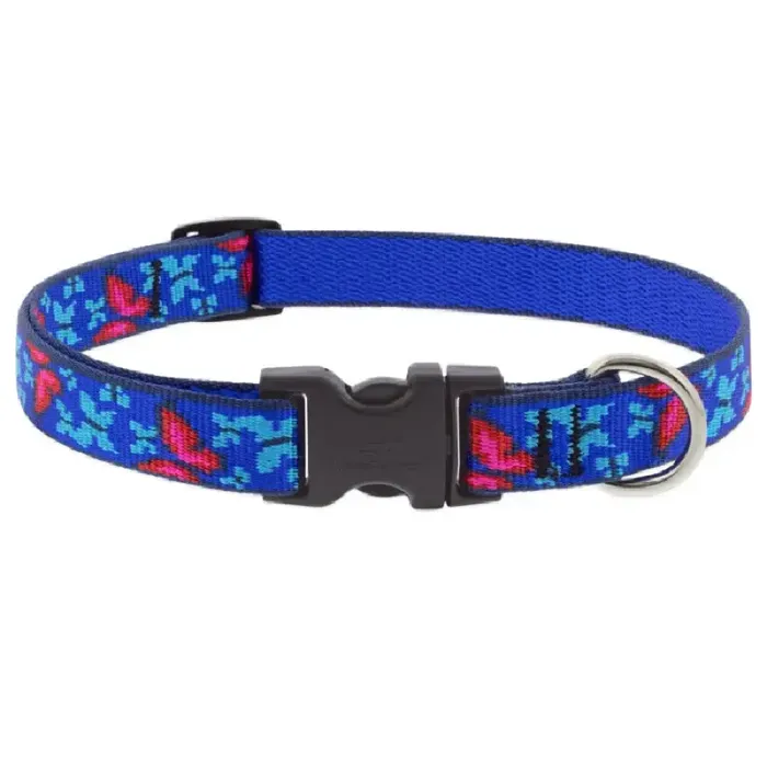 Social Butterfly 3/4 Inch 9-14 Adj Collar