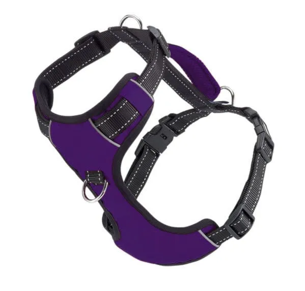 1ea Bd X-large Purp Ches Harn