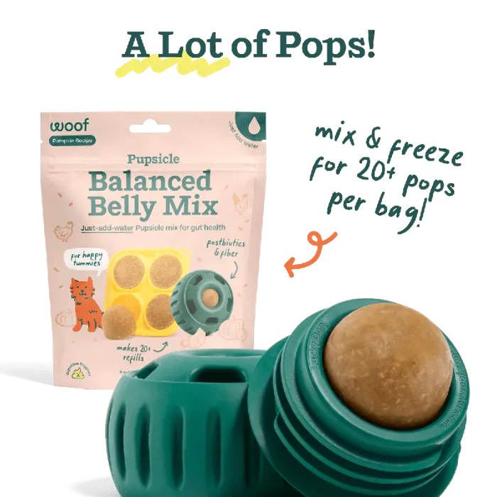 Woof Dog Treat Pupscicle Treat Mix Balanced Belly 5.5-oz