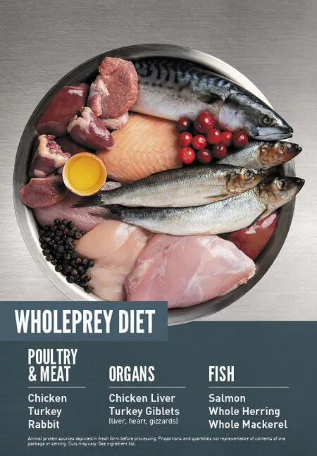 ORIJEN Guardian 8 cat food WholePrey ingredient bowl
