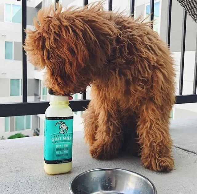 Bones & Co Goat Milk Raw For Dogs & Cats 32-oz