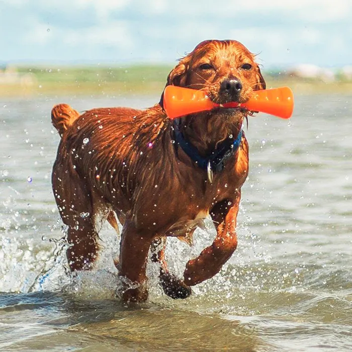 BIONIC Urban Stick orange floating dog toy lifestyle