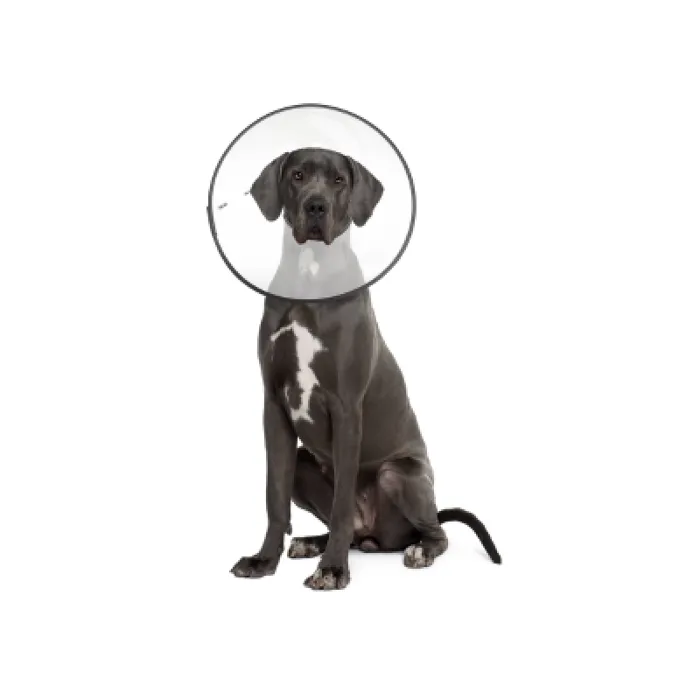 E-collar Clear Xxlarge 5963 Cs Tech 12/cs