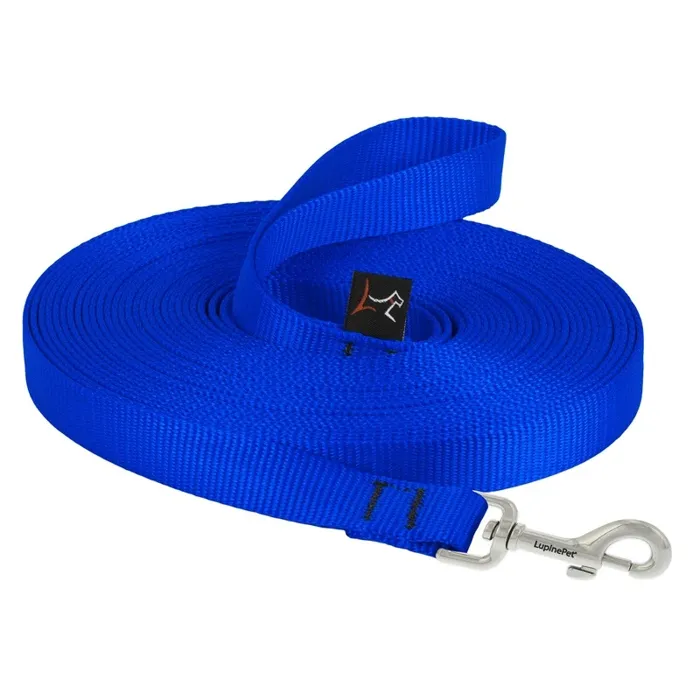 Gate Snap Training Lead 15' X .75" Blue