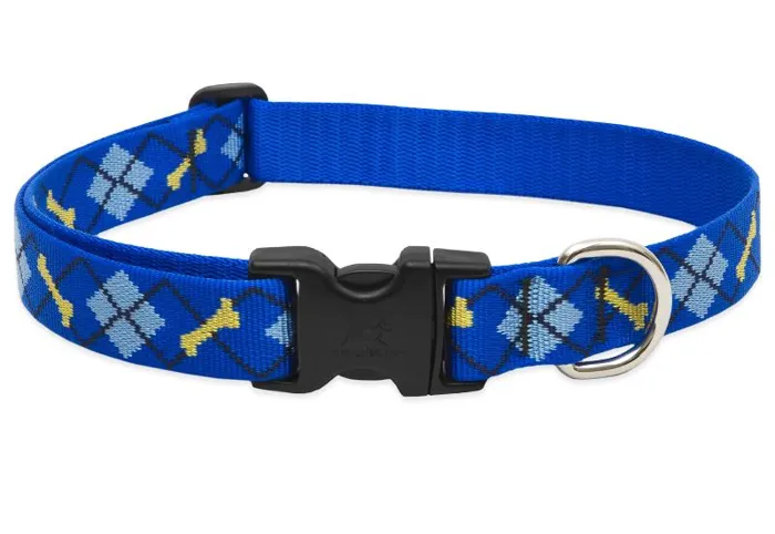 Lupine Collar 16-28" Dapper Dog