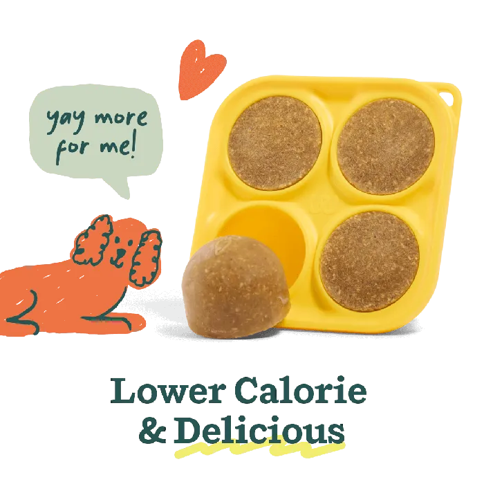 Woof Balanced Belly Pupsicle Mix, treat tray and frozen pop
