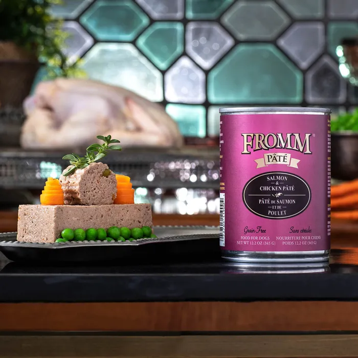 Fromm Salmon & Chicken Pâté dog food 12.2 oz can in kitchen lifestyle