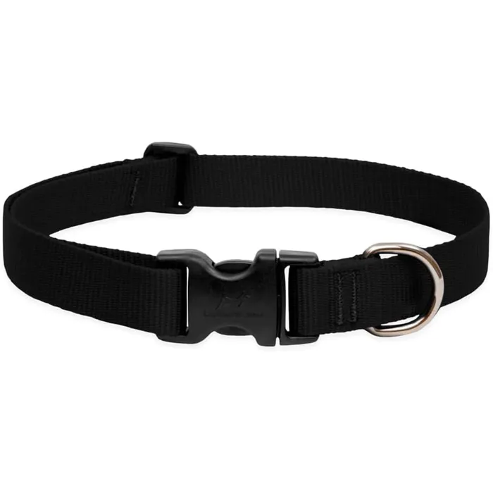 Lupine Basic Solids black 1-inch 12-20 adjustable collar front