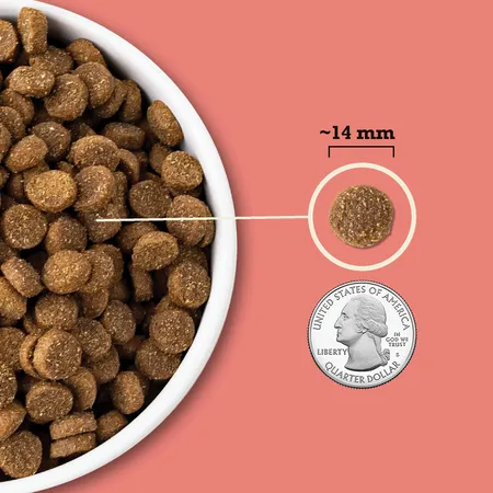 Acana Wholesome Grains Red Meat & Grains Dry Dog Food 4-lb